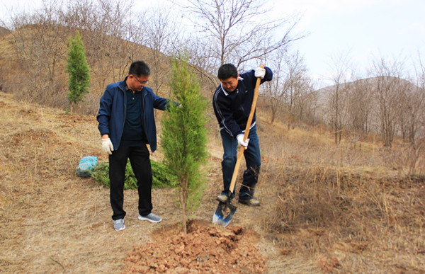 ������֯����չ����ֲ���